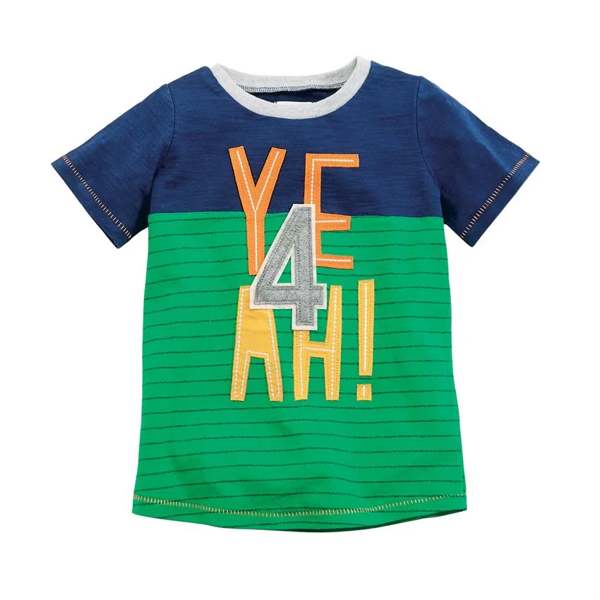 Boy Birthday Celebration Shirts