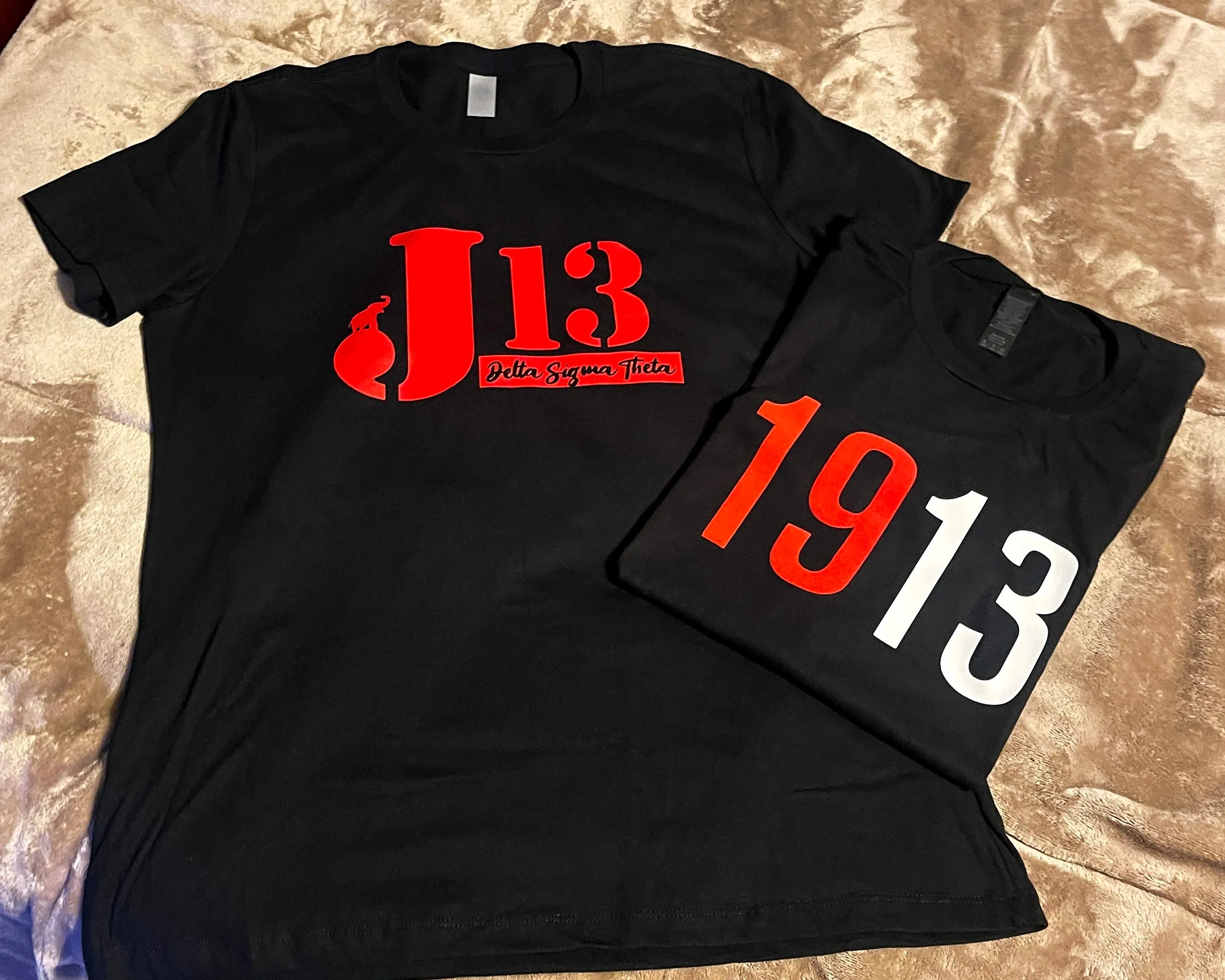 Delta Sigma Theta Bundle DST12 Shirts