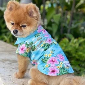 Diamond Head Hawaiian Dog's Shirts | Hawaiian Scenic Series | Blue, Green