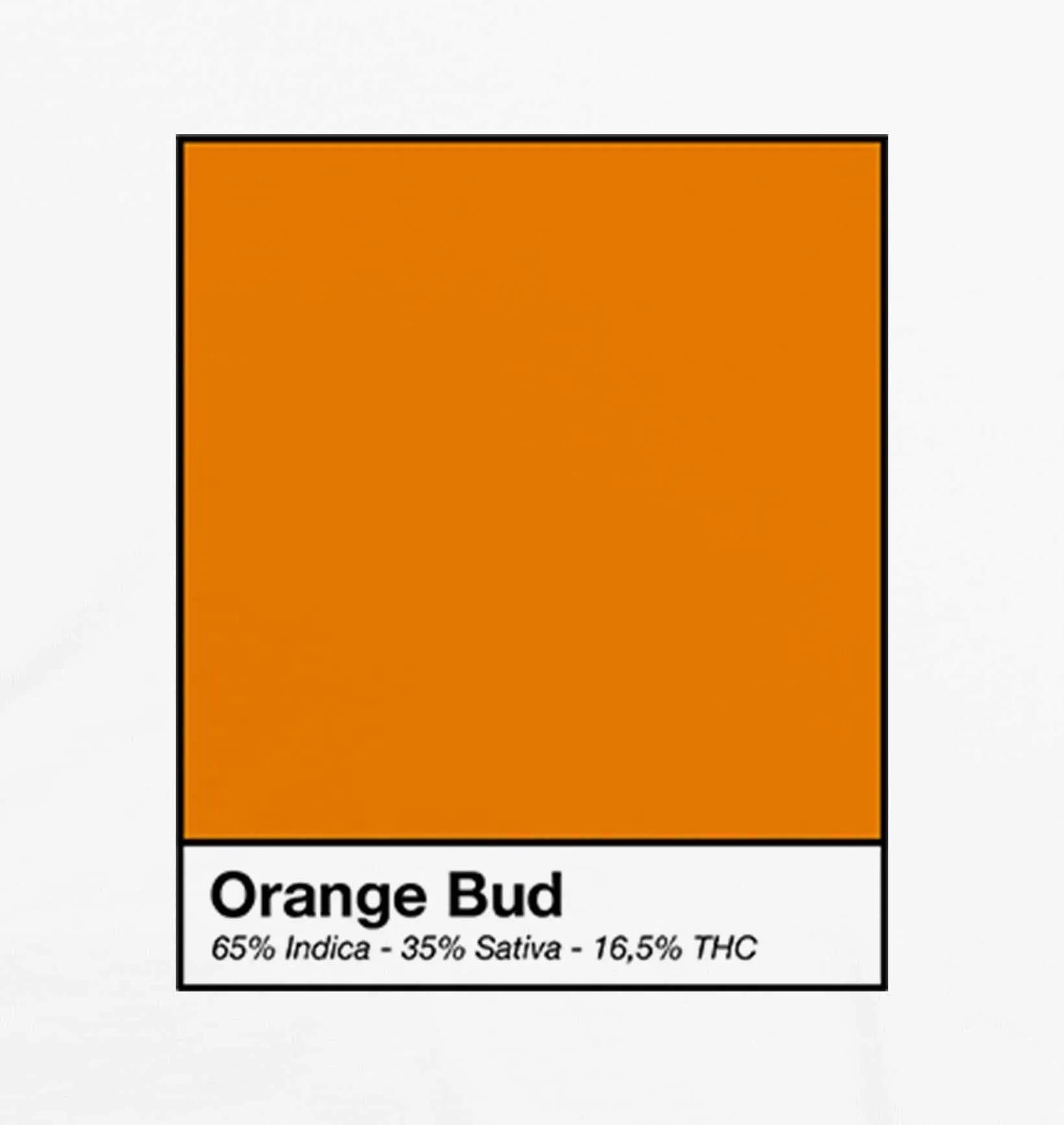 T-shirt orange bud